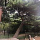 #KTX타고 강릉여행 with 맘 앤 이모