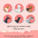 고려동물병원 이미지