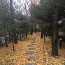 단풍세탁소 이미지