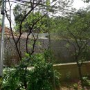 서리풀약국 이미지