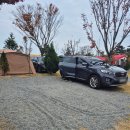 별드림캠핑장 | 🏕️태안 캠핑드림 캠핑장 이용 후기 : 사이트별 크기·가격, 해안 산책, 바지락캐기 체험 정보