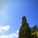 강남이네민박 이미지