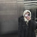 배스킨라빈스31속초조양점 | 🐻 서른, 마지막 휴가