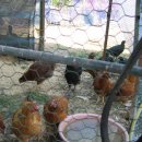 홍길이네집 이미지