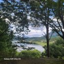 로우풀 | 합천대병대구왕뽈찜/아구찜맛집/대구왕뽈찜후기/합천로우풀