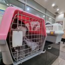 제이엠 동물병원 이미지