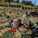 여수농업기술센터 이미지