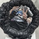 어떡하나요 : 스타벅스 수박 블렌디드, 찰리푸스 티켓팅, 책방이 또지라, 논논 팝업, 보 이즈 어프레이드