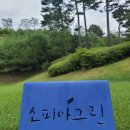 홀인원PC | 삼일절 🇰🇷 여주 소피아그린CC 라운드 솔직후기 | 공휴일 티타임 전쟁 실화 🔫