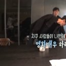 하라 이미지