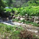 양어장가든 이미지