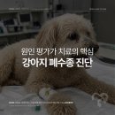 심동물병원