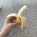 (주)신상네트워크 | [일상] 벌써 2월 끝이라구 ?🫨 / 휘게를 추구한다 / 키토 식단 / 탄수화물 out / 설날🧧 / 서산 물레방아...