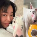 이혜영