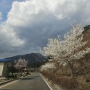 보현산칼국수 이미지