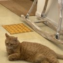 대창인생 이미지