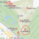 소노펠리체 델피노 이미지