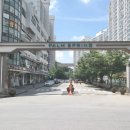 팜스프링 이미지