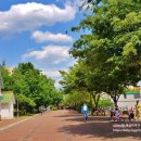 반야월역사 작은도서관 내 이미지