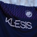 클레시스(klesis) 이미지