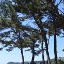 구름포해수욕장 이미지