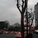 SK부동산컨설팅