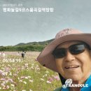 10월7일 평화누리 9코스 율곡길 이미지