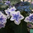 아라모드 - 청주시 흥덕구 운천로4번길 11 | 아라모드