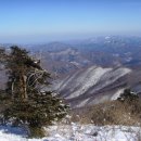 도계초등28회 태백산 등반(1) 이미지