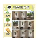 함께냥 앤 함께냥품 북수원점 이미지