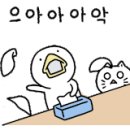 (주)힐링펫 이미지