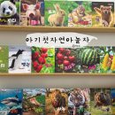 그림책으로 놀자 | 두돌 자연관찰전집 : 아기 첫 자연아놀자 / 키즈탄탄 전집 보드북 세이펜호환