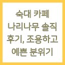 나리테이블 | 숙대 카페 나리나무 솔직 후기, 조용하고 예쁜 분위기