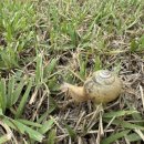 세모집 제주 이미지