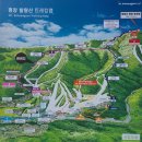 2023년1월28일(토) 발왕산 눈꽃산행 이미지