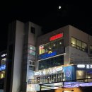 산척상회 | 내돈내산-삼척여행 쏠비치삼척 저녁메뉴 조개상회 조개구이