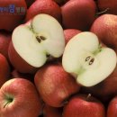 사과반쪽 이미지