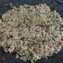 쭈꾸미신화 이미지