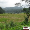 강원도 횡성군 교항북로 이미지