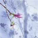 수채화1 이미지