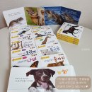 자연동화 이미지