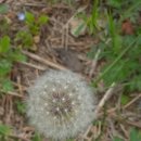 진산대로 이미지