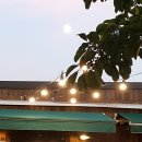 참좋은게스트하우스