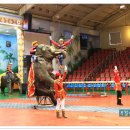 점보빌리지 이미지