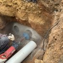 코아&2060 이미지