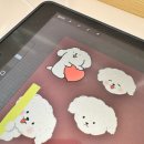 제이드툴 | 제이드로우의 1:1 디지털드로잉 수업 후기 ➡️ 강아지 스티커 만들기🐾