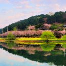 울산종합관광안내소 이미지