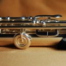 플루트(Flute) 이미지