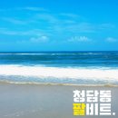 오늘 이미지
