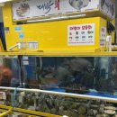 돌고래초장집 | [가락시장역 대박수산] 가락시장 대방어 맛집 내돈내산 후기 (대박수산+초장집 돌고래)